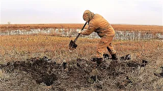 Нашёл пучки МЕДИ копаю яму с металлом! Коп металлолома 2023 здесь нужно всё раскапывать.