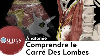 Anatomie appliquée au carré des lombes