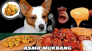 [ASMR MUKBANG] Chicken specially made for Puppy & Dog Real Sound Eating Show! 🐶🍗
