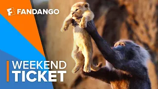 In Theaters Now: The Lion King | Weekend Ticket