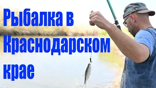 Рыбалка в Краснодарском крае, жареная рыба по деревенски