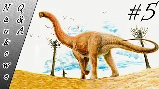 Jak długo żyły dinozaury? Największe zwierzę na Ziemi. Elektromobilność - NaukoweQ&A #5