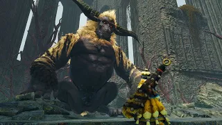 MH Rise Sunbreak - Big Furious Rajang