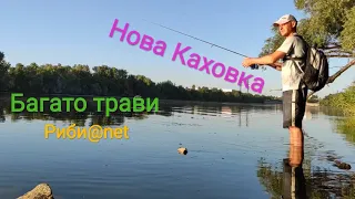 Рибалка Нова Каховка.