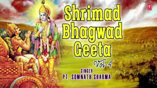 श्रीमद भागवद गीता Shrimad Bhagwad Geeta Vol.4 (Part 12,13,14,15),PANDIT SOMNATH SHARMA,Krishna Arjun