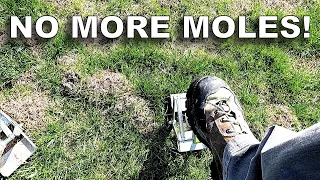 How-to Eliminate Moles [Wire Tek EasySet Mole Eliminator]