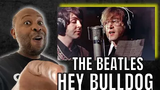 First Time Hearing | The Beatles - Hey Bulldog Reaction