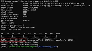 GPU Basecalling-Test on Debian Linux WSL 2