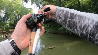 Co-Angler Series - MLF BFL Buckeye Division S2 E2 - Tanners Creek Ohio River (2nd Tournament of 5)