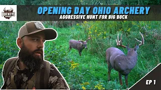 Opening Day Ohio Archery 2021 - Aggressive Move on a Giant Buck