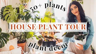 PLANT TOUR | Ansel & Ivy Online Plant Unboxing, my house plant and plant decor collection