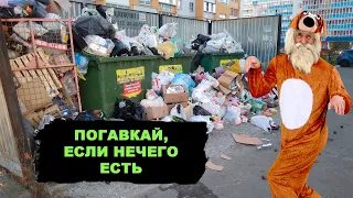 Хочешь есть — погавкай! На собак выделили больше денег, чем на детей и пенсионеров