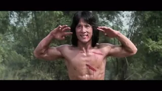 Jackie chan / a vingança do dragão