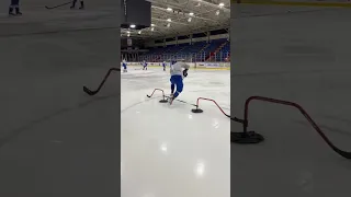 Sterling wolters D-man, training clips