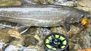 Adventuring in the BackCountry! HIKING & FLY FISHING Washington's Cascade Mountains for Trout!!!