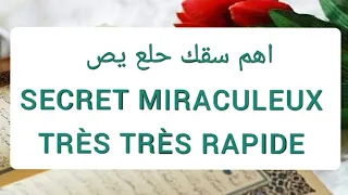 SECRET MIRACULEUX DE HAMU SAKAKOU