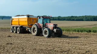 Ładowarka JCB naprawiona. Zaczynamy sortowanie ziemniaków. Nowy rozrusznik do Case IH STEIGER 9350