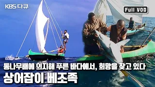 🦈상어 80%가 사라진 마다가스카르 해역. '베조족'은 오늘도 ⛵️통나무배로 망망대해를 누빈다 | '모잠비크 해협의 상어잡이 베조족 ’ (KBS 20111001 방송)