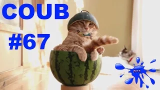 Лучшие приколы Best Coub Выпуск 67