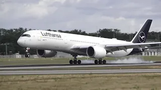 BEAUTIFUL AIRBUS A350-900 Lufthansa (D-AIXK) LANDING At Frankfurt Airport