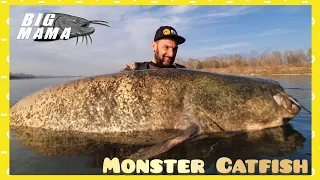 Huge fish 220 lbs live attack on boat - 4K by Catfish Wolrd