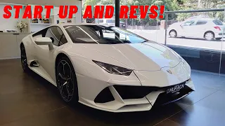 2020 Lamborghini Huracan Evo || START-UP and REVS