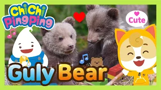 🎵 Guly Bear | nursery rhymes | kids song | Chichi Pingping | Adventure Cartoons for Kids