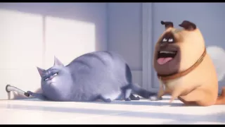 Sky Broadband - The Secret Life Of Pets