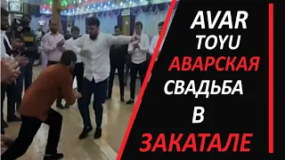 Аварская свадьба в Закатальском районе. Азербайджан.#закатала #zaqatala