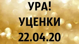 🌸УРА!!1 УЦЕНКИ. (завоз 22. 04. 20 г.) Отправка только по Украине. ЗАМЕЧТАТЕЛЬНЫЕ КРАСОТКИ👍