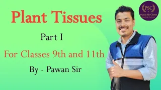 Plant Tissues Part -1st (Class 9th and 11th)