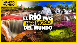 CAÑO CRISTALES: Maravilla de la naturaleza | Impacto Mundo