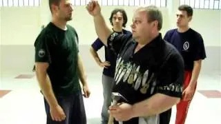 SYSTEMA Mikhail Ryabko teaching Systema Punching.flv