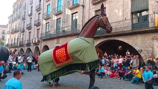 Mulassa de Tarragona | Gerionada de les Festes de Primavera de Girona 2024