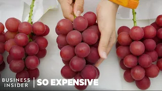 Why Japanese Ruby Roman Grapes Are So Expensive | So Expensive