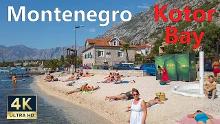 Kotor Montenegro 🇲🇪 4K Bay of Kotor Walking Tour and Beaches September 2021