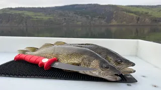 Columbia River Spring Walleye Fishing Rufus OR