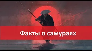 Кто такие Самураи? Факты о Самураях