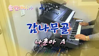 감나무골/나훈아/트롯트/케트론 SD7/전자올겐/올겐매니아