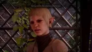 Dragon Age Inquisition: Sera disapproves (Ver 2: Kicking Sera out)