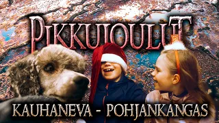 Kauhaneva-Pohjankankaan Kansallispuisto | Pikkujoulut | Retkipuudeli | Retkeily 2022 | Vaellus