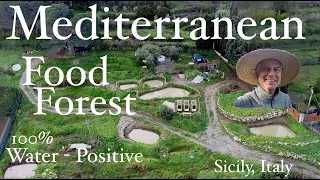 Mediterranean Permaculture Food Forest - John Kaisner The Natural Farmer