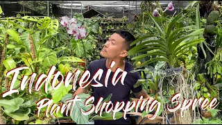 Indonesia Nursery Tour (Ragunan) and shopping spree.