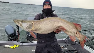 Mille Lacs November Muskie