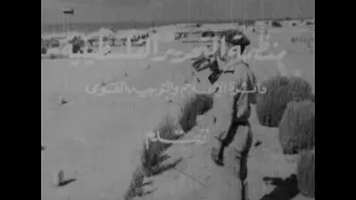 CAN978 FILM ON THE PALESTINE LIBERATION ORGANIZATION