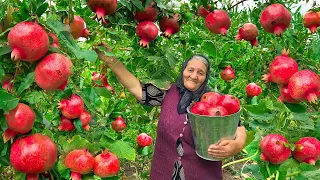 Harvesting Lots of Fresh Pomegranates and Making Jam and Cake!