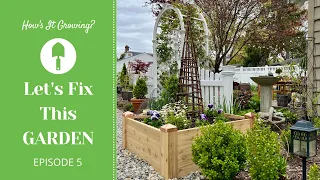 Let's Fix This Garden Episode 5 - Raised Beds are IN! 😃 How's It Growing?