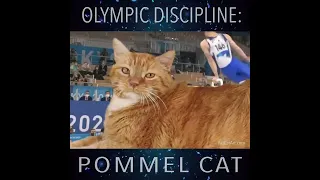 Daiki Hashimoto performing pommel cat routine in Tokyo🇯🇵 #trending #shorts #reels #viral #video