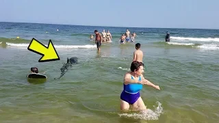 Rare Benny Great White Shark attack at the Jersey shore!  4k high def shark attack 8-29-18