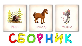 Животные для детей СБОРНИК Карточки Домана Развивающие мультики для детей